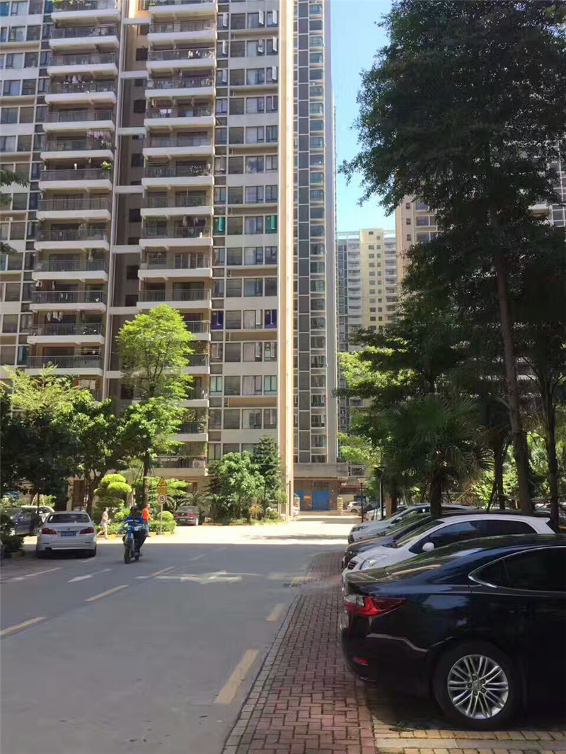 深圳松岗村委统建楼12栋大型花园《永辉花园》双层停车场，11号线地铁口(图3)
