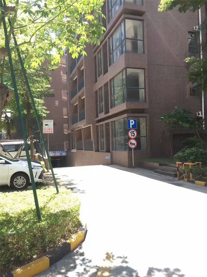 深圳松岗村委统建楼12栋大型花园《永辉花园》双层停车场，11号线地铁口(图5)