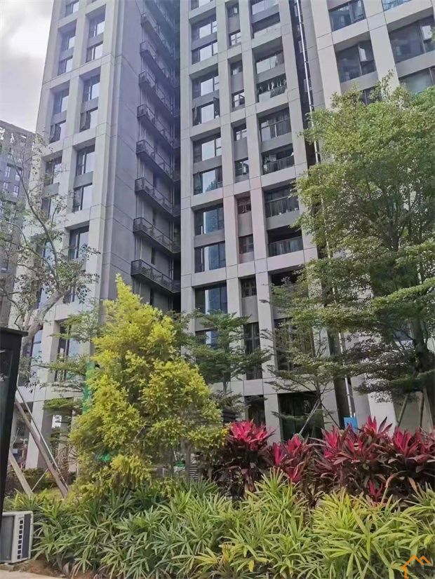 龙岗平湖地铁口小产权房《麓湖花园》总价98万起买精装修三房,分期10年(图6)