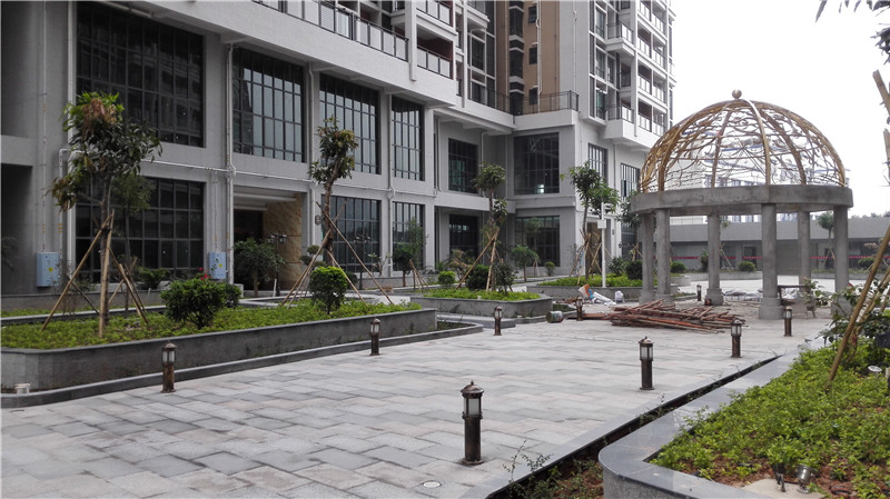 深圳沙井村委统建楼