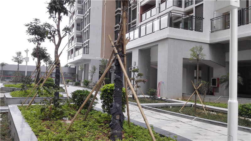 沙井村委统建楼