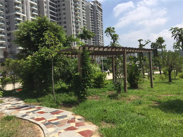 龙华观澜村委统建楼|香榭丽景花园|梅关高速观澜出口(图4)