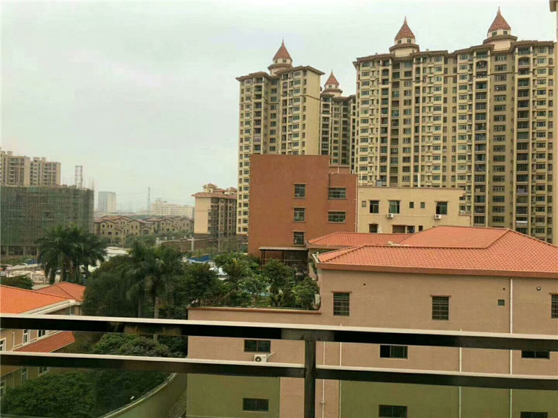 东莞大朗地铁口小产权房|名苑雅居|2780起花园小区|毗邻商品房(图3)