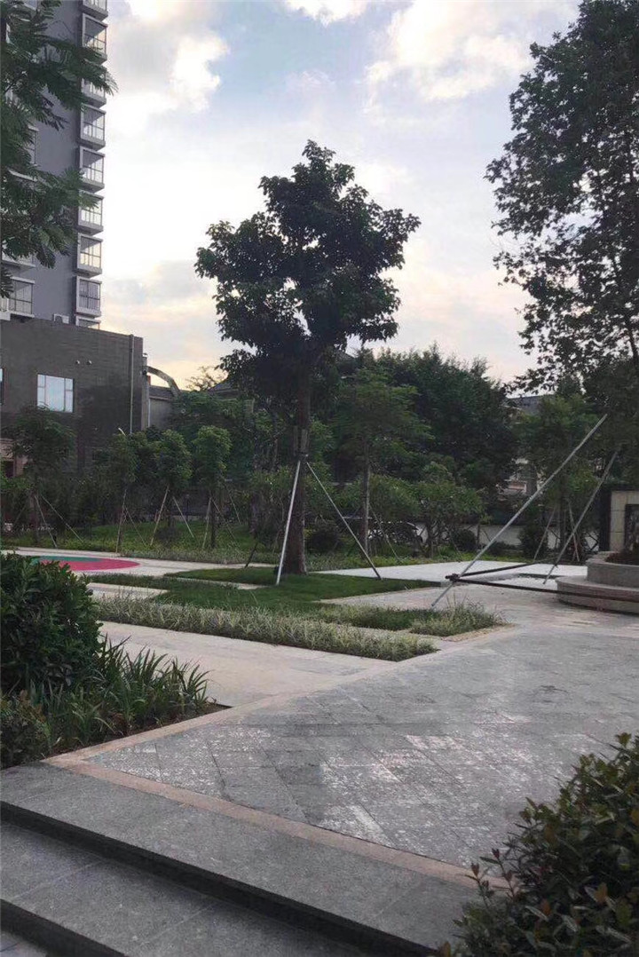 宝安沙井村委统建楼|新苑花园|5栋花园小区新楼盘村委盖章(图4)
