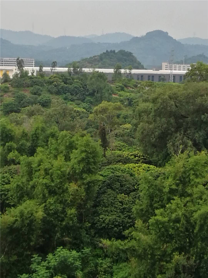 大朗石厦小产权房