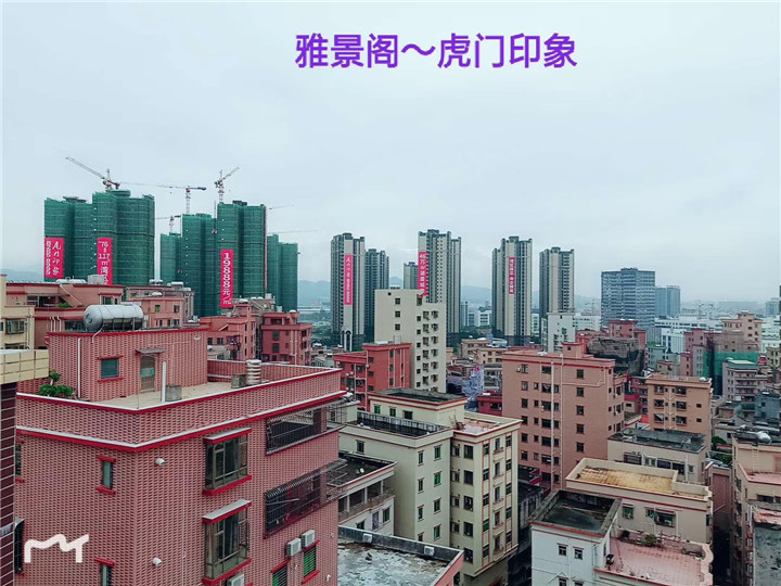 虎门小产权房赤岗【雅景阁】3180起价,广场公园旁(图5)