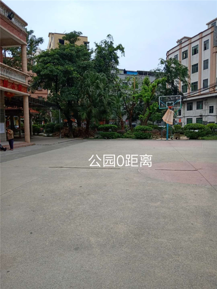 东莞厚街桥头小产权房|公园名苑|展览中心地铁口物业(图5)