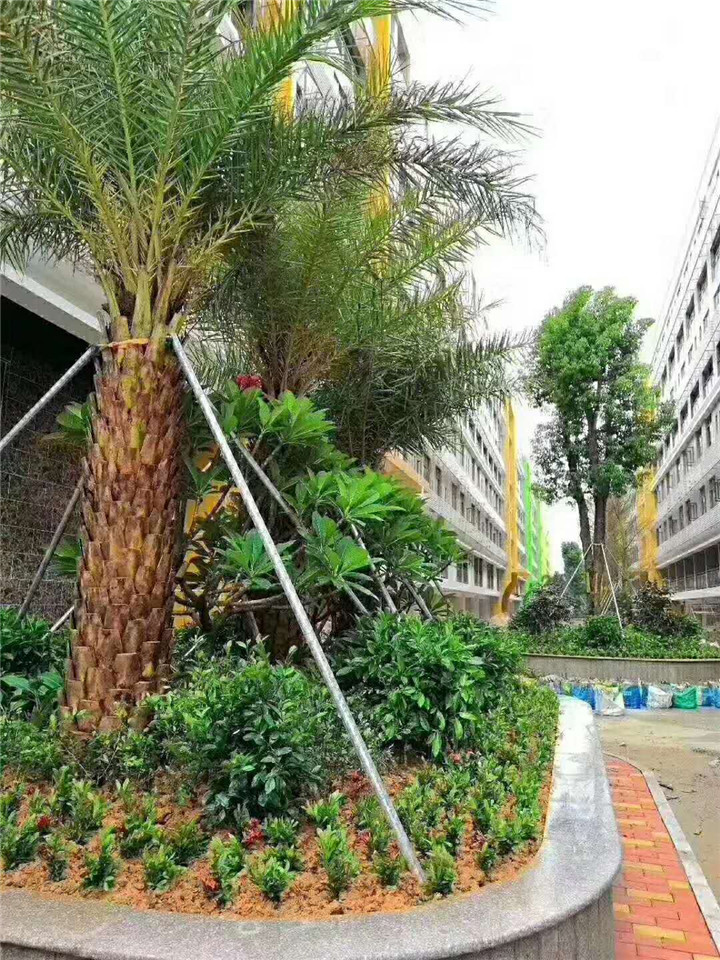松柏朗小产权房