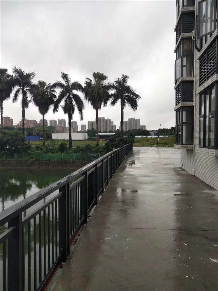 虎门地标广场旁小产权房
