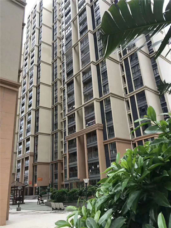 光明新区蒋石村村委统建楼新盘出售