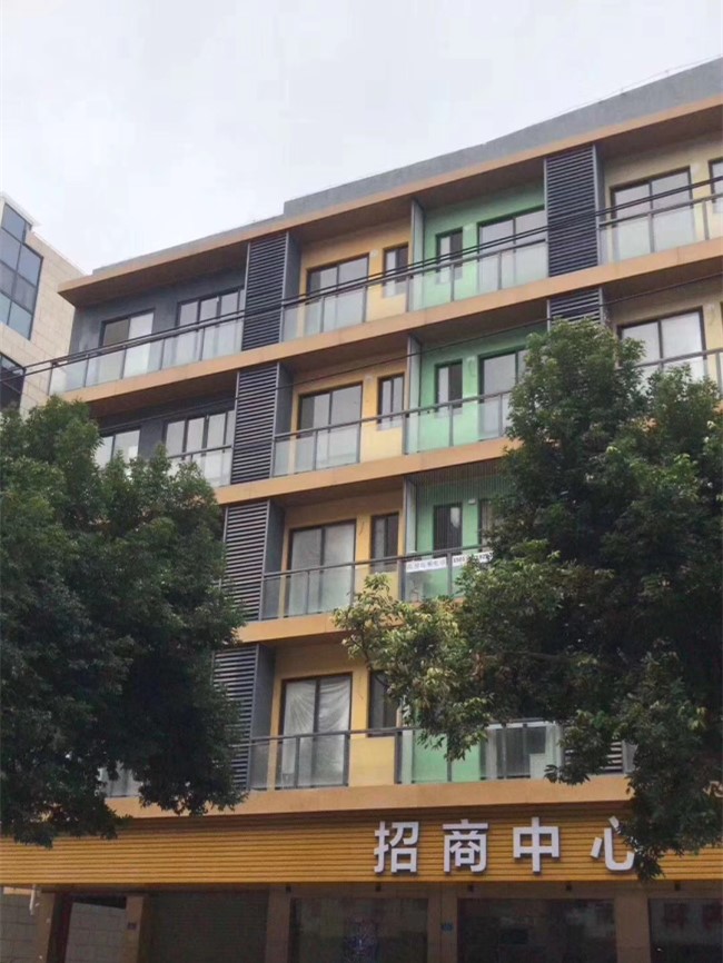 龙岗小产权房横岗荷坳地铁口【大运新城】首付18万/套起，豪华装修交楼(图4)