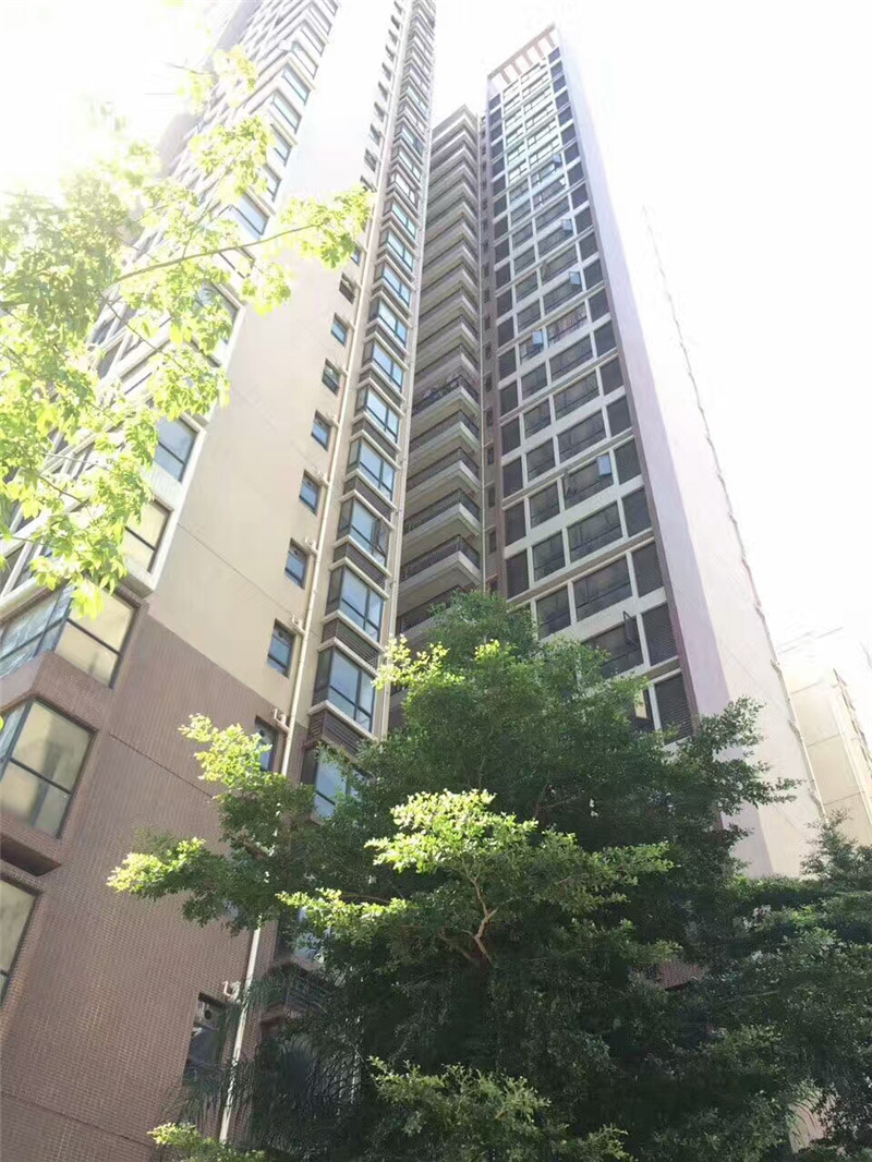 深圳松岗村委统建楼12栋大型花园《永辉花园》双层停车场，11号线地铁口(图4)