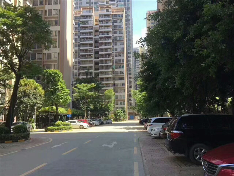 深圳松岗村委统建楼12栋大型花园《永辉花园》双层停车场，11号线地铁口(图6)