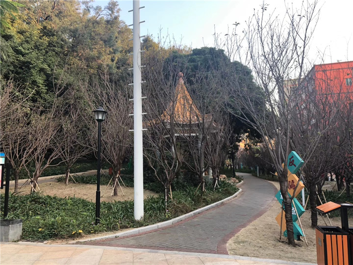 沙井村委统建楼大王山《绿林沙井公园》6栋小区房，楼下就是公园(图16)