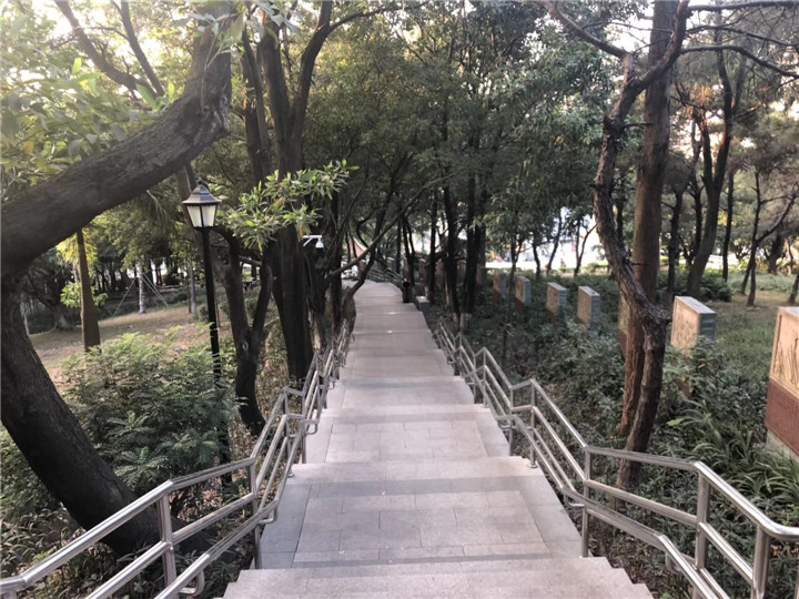 沙井村委统建楼大王山《绿林沙井公园》6栋小区房，楼下就是公园(图17)