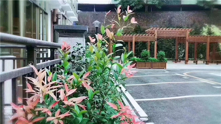 龙华观澜最便宜的村委统建楼《澜山壹号》12000元/㎡起，8栋封闭式小区(图5)