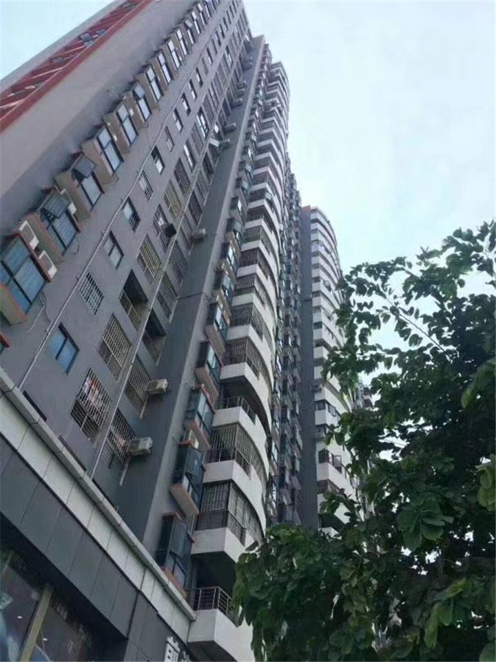 龙岗坂田3栋28层村委统建楼|富豪花园|坂田天虹对面(图3) 龙岗坂田3栋28层村委统建楼|富豪花园|坂田天虹对面(图3)