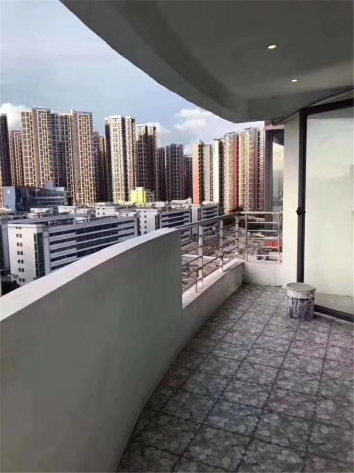 龙岗坂田3栋28层村委统建楼|富豪花园|坂田天虹对面(图6) 龙岗坂田3栋28层村委统建楼|富豪花园|坂田天虹对面(图6)