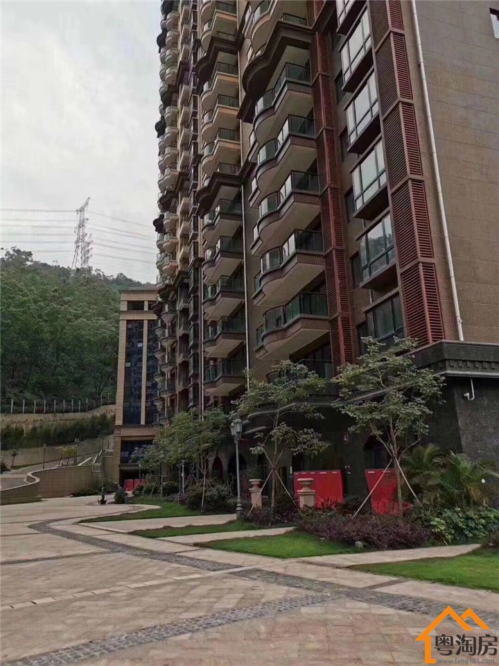 深圳罗湖9栋统建楼《湖畔山庄》花园小区,市区稀缺资源(图3) 深圳罗湖9栋统建楼《湖畔山庄》花园小区,市区稀缺资源(图3)