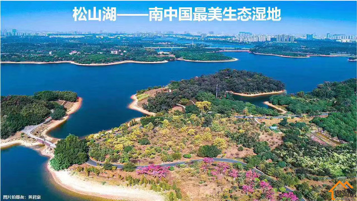 松山湖华为旁《华为一号》80栋花园艺术小区，1.2万/㎡起带精装修(图7)