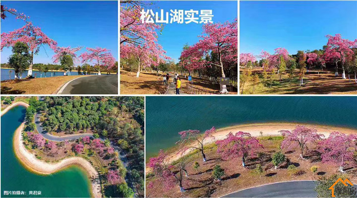 松山湖华为旁《华为一号》80栋花园艺术小区，1.2万/㎡起带精装修(图9)