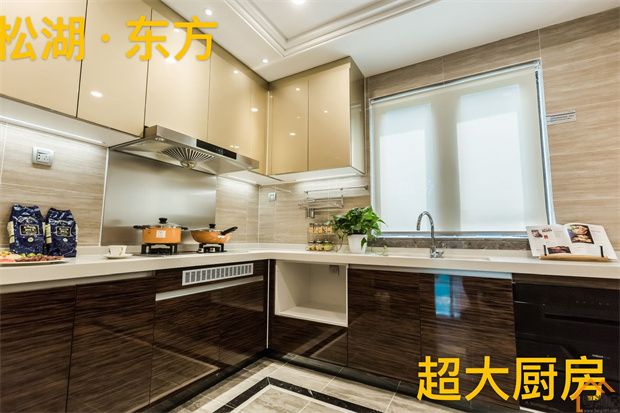 企石村委统建楼《松湖东方》6栋花园小区，3680元/㎡起(图8)