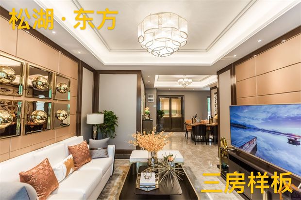 企石村委统建楼《松湖东方》6栋花园小区，3680元/㎡起(图6)