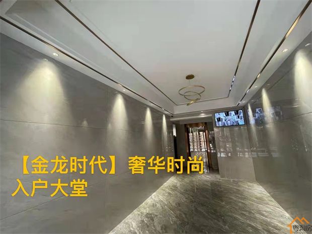 东莞寮步泉塘小产权房《金龙时代》均价5980带豪华装修交楼(图4)