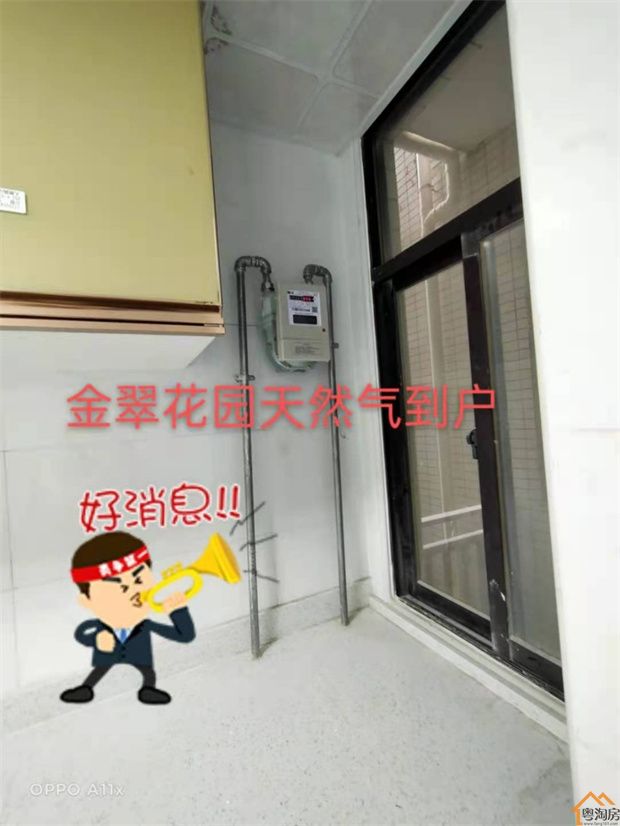 东莞寮步小产权房《金翠花园》两栋封闭式管理，带停车场，无条件分期10年(图9)