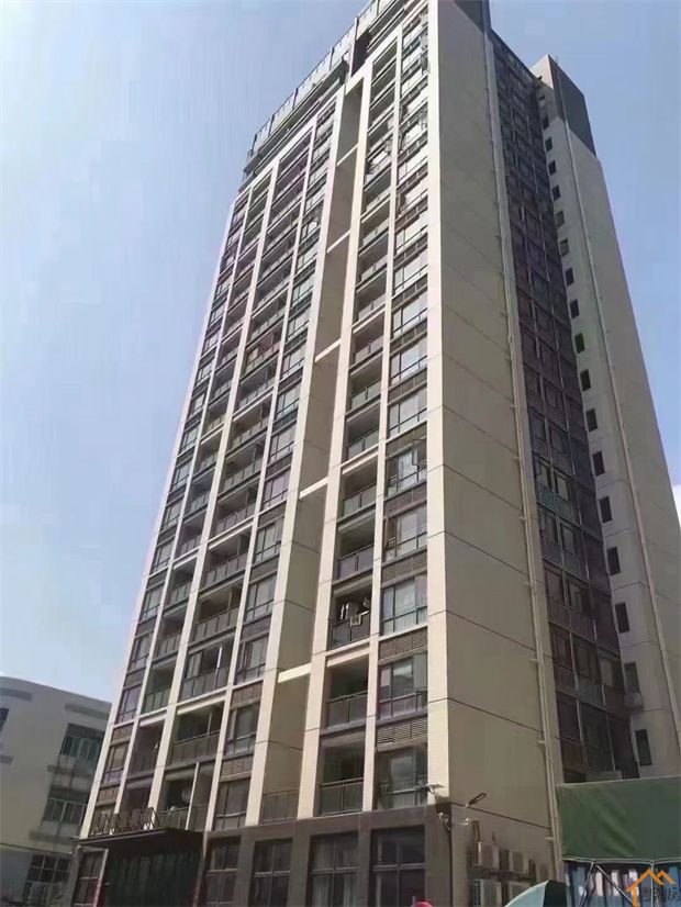深圳平湖禾花地铁口小产权房《辅城公馆》四栋花园小区楼盘(图4)