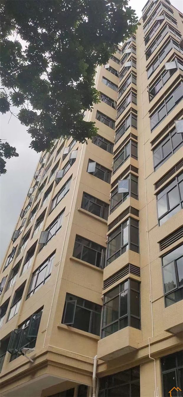 塘厦林村小产权房《腾飞大厦》赣深高铁东莞南站500米，价格4500元/平米起(图2)