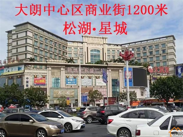 大朗洋坑塘小产权房《松湖星城》毗邻松山湖科技园，4880元/平米起(图9)