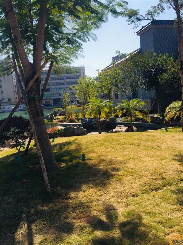 东莞厚街小产权房《网红壹号》湖景洋房，楼下厚街鳌台书院(图5)