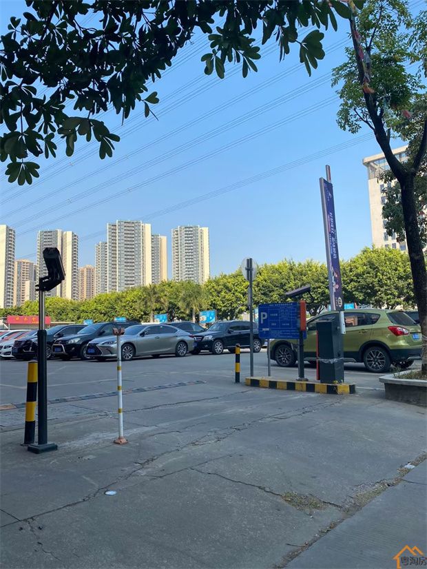 大岭山地铁口小产权房《金茂花园》三栋花园楼盘，1号线大岭山东地铁口800米(图10)