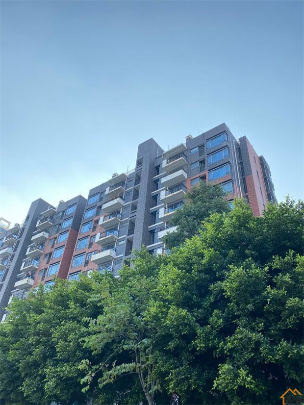 大岭山地铁口小产权房《金茂花园》三栋花园楼盘，1号线大岭山东地铁口800米(图2)