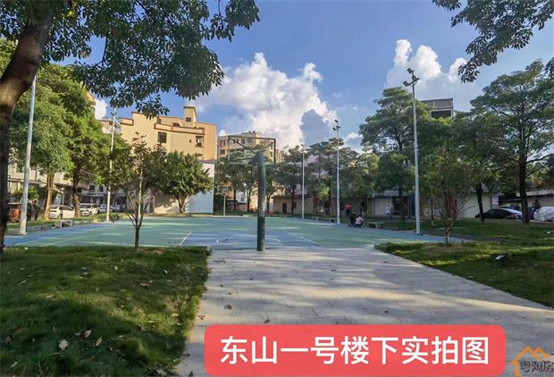 企石东山小产权房《东山一号》新楼盘，2150元/平米起(图4)