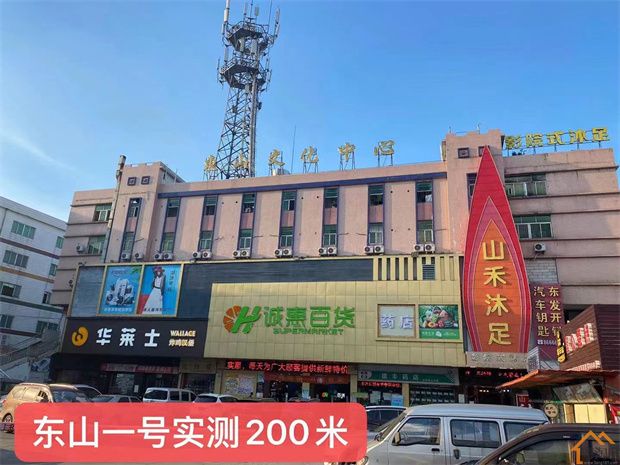 企石东山小产权房《东山一号》新楼盘，2150元/平米起(图11)