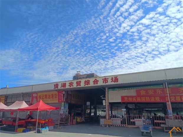 东莞企石小产权房《清湖一号》3栋小区楼盘，2600元/平米起，无条件分期15年(图5)