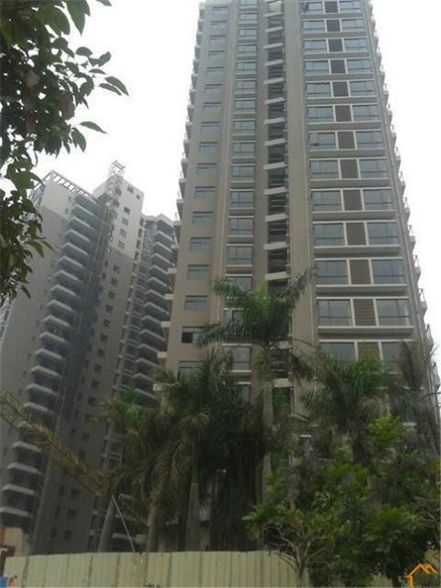 石岩大型花园统建楼【山湖花园】3大栋规模，地铁6号上屋站900米(图3)