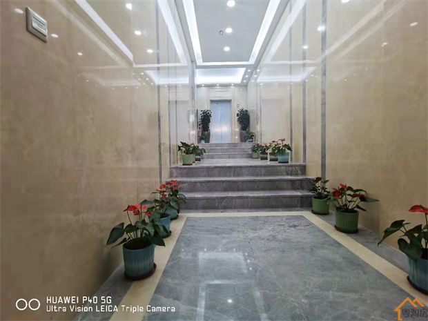 道滘蔡屋小产权房《城南半岛》17栋规模,均价8500,精装交楼(图4)