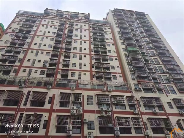 深圳坂田五和村委统建楼《双子名座》两大栋500户楼盘，首付28.8万起(图2)