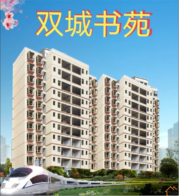 惠州大亚湾小产权房《双城书苑》5栋500户现楼出售，总价10万起(图2)