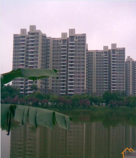 松岗塘下涌村委统建楼《众和花园》7栋花园小区，少量房源在售(图2)