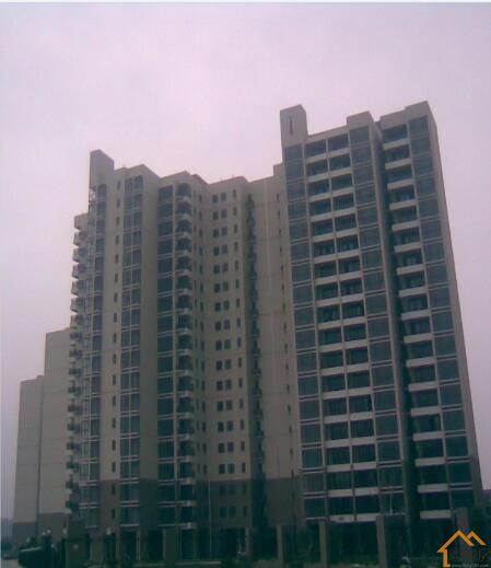 松岗塘下涌村委统建楼《众和花园》7栋花园小区，少量房源在售(图4)
