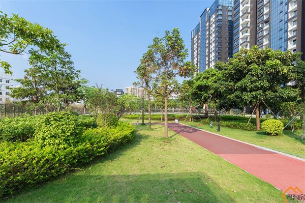 石岩塘头村委统建楼《悦城国际》5栋 原林式社区(图4)