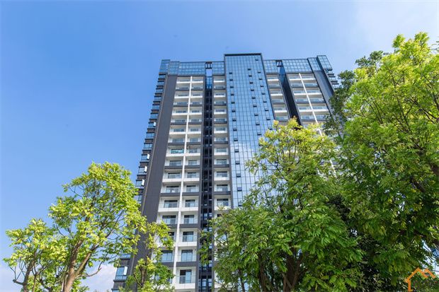 石岩塘头村委统建楼《悦城国际》5栋 原林式社区(图7)