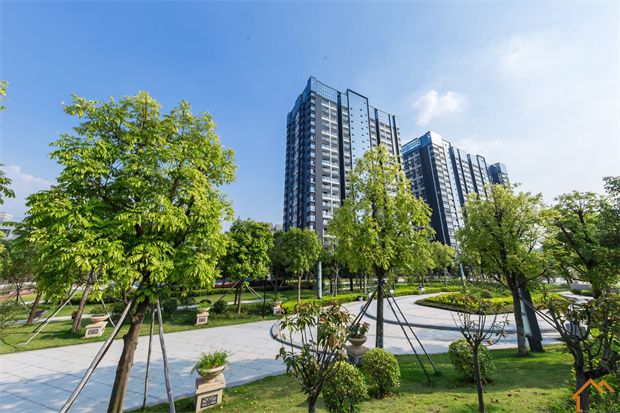 石岩塘头村委统建楼《悦城国际》5栋 原林式社区(图5)