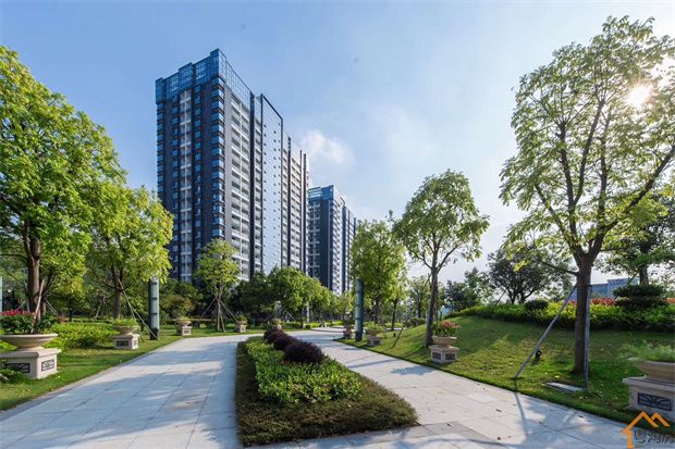石岩塘头村委统建楼《悦城国际》5栋 原林式社区(图8)