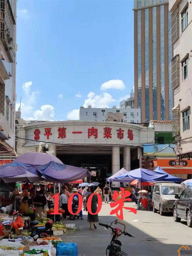 常平金美小产权房《金域中央》花园小区房,总价22.8万/套起(图17)