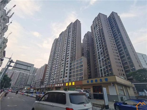 深圳龙华村委统建楼最新在售楼盘总汇(图2)